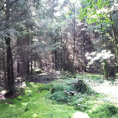 Beautiful Holdiday In Near The *