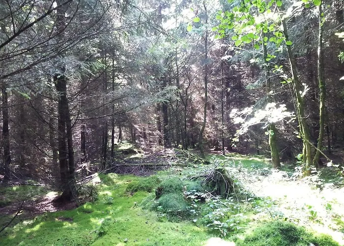 Beautiful Holdiday In Near The Lake *